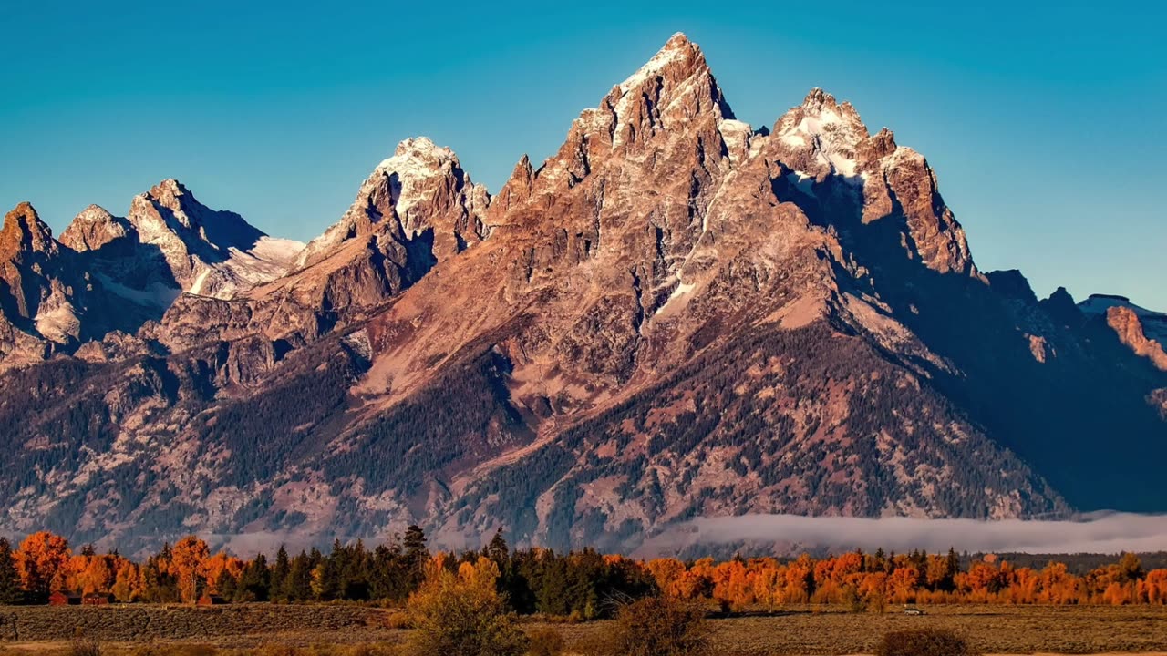 God's Touch - Harpist's Finger (Jeff Osburn)