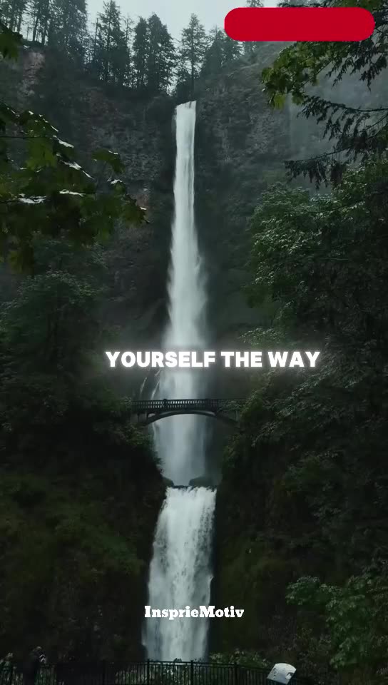 Love Yourself #muftimenk #muslim #islam #allah #motivation #quran #love #peace #gift #creator #help