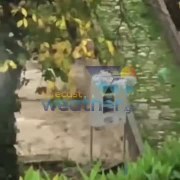 Ζαλογγοπόταμος