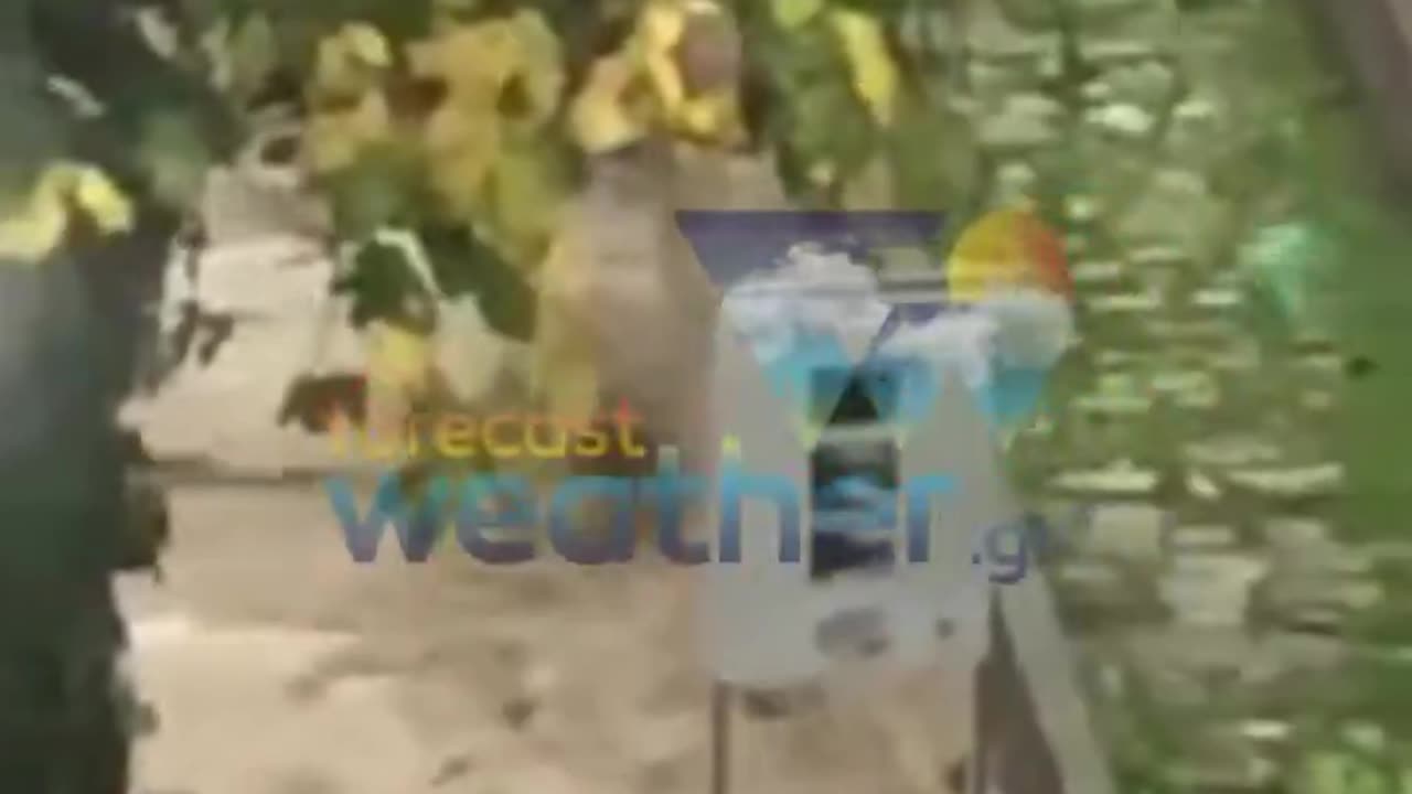 Ζαλογγοπόταμος