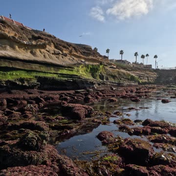 LOW TIDE by CHILDREN'S POOL Sunshine Time in La Jolla San Diego #beach #waves #sunshine