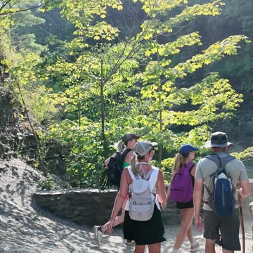 Views from Mammoth March in Letchworth state park
