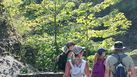 Views from Mammoth March in Letchworth state park