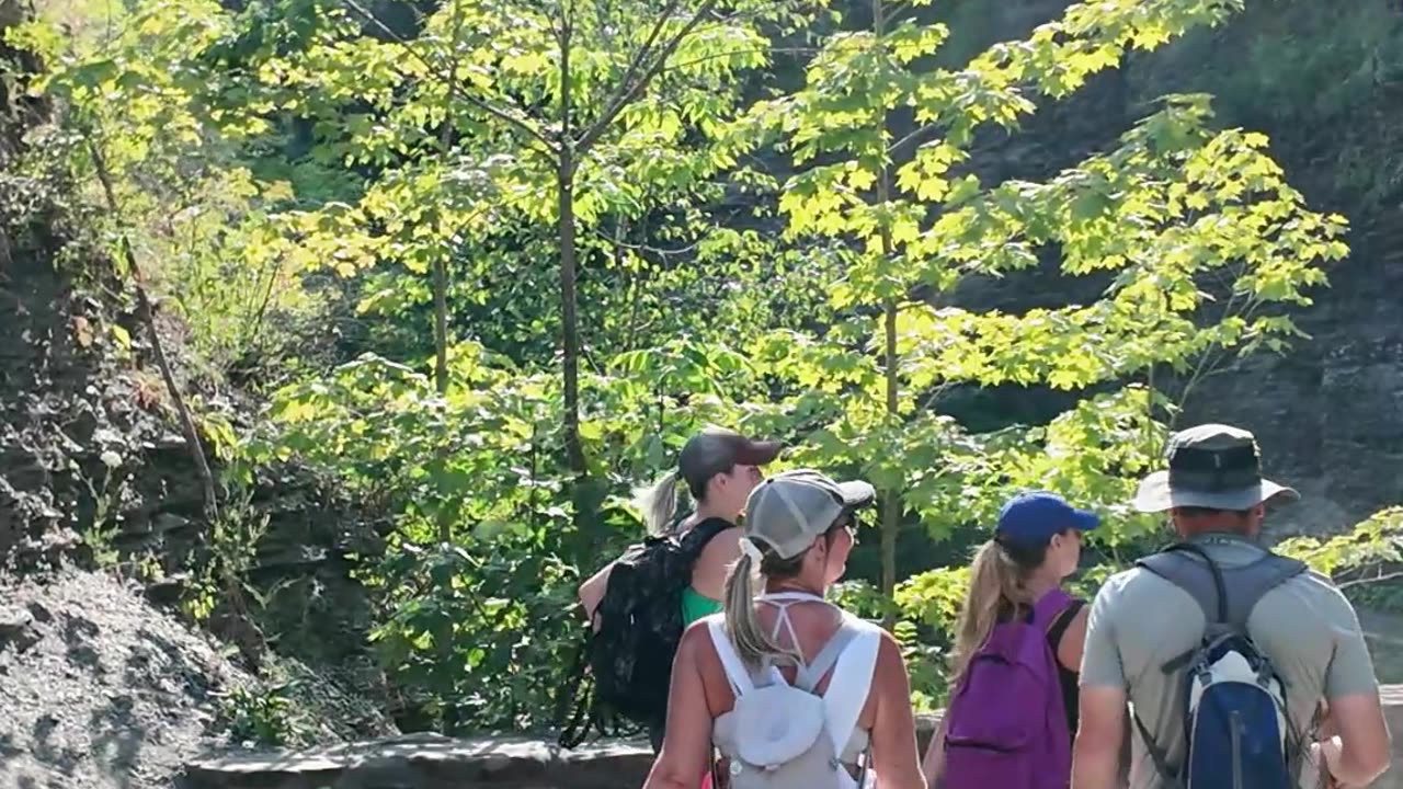 Views from Mammoth March in Letchworth state park