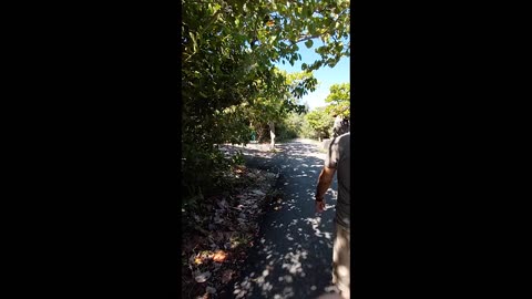 Isabela, Puerto Rico, Part 2