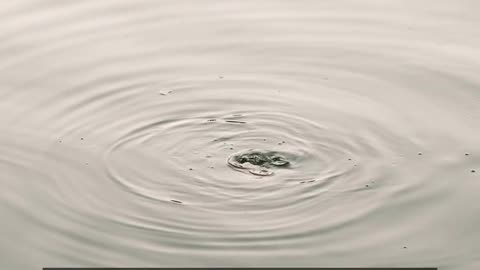 Daily Horoscope | Aquarius 🌟