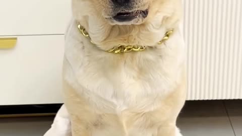 💡✨ A Clever Hack You'll Wish You Knew Sooner | LifeHacksDaily