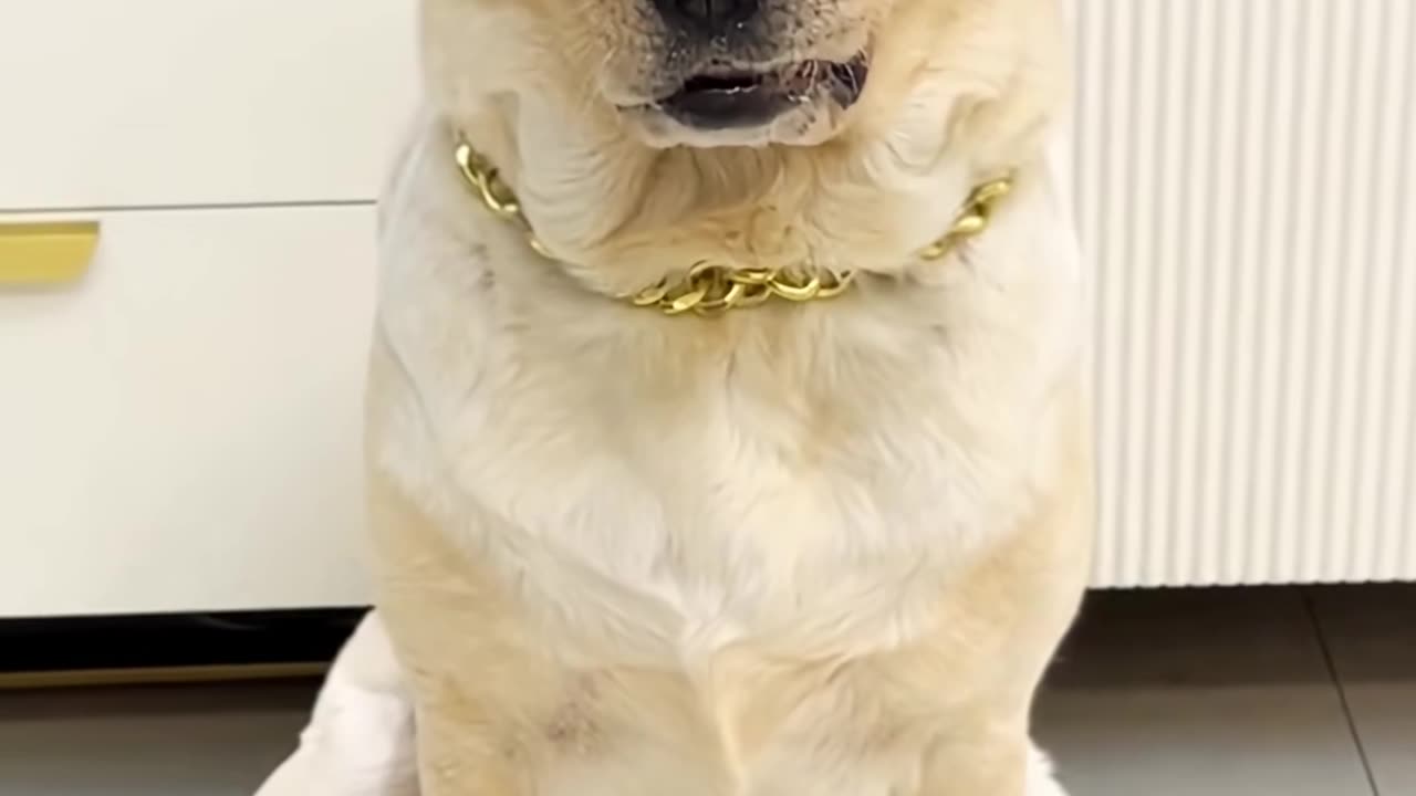 💡✨ A Clever Hack You'll Wish You Knew Sooner | LifeHacksDaily