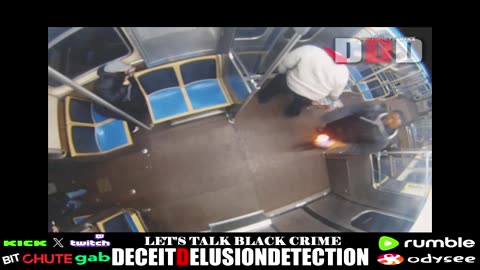 A black man who set a 26-year-old white woman on fire on the Blue Line Train in Chicago is charged