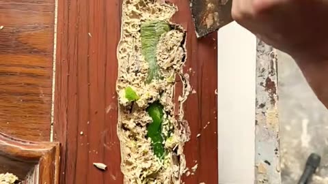 🤯✨ This Genius Hack Makes Wrapping Gifts So Easy! | LifeHacksDaily