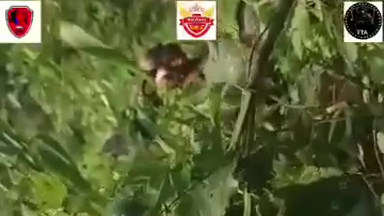 ⚔️🔥 Myanmar War | Taungtha PDF Clash with SSPC Troops in Danu State | RCF