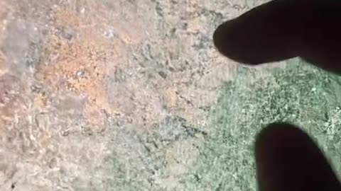 co budują amerykanie