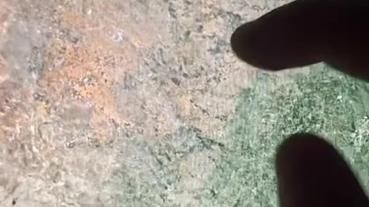 co budują amerykanie