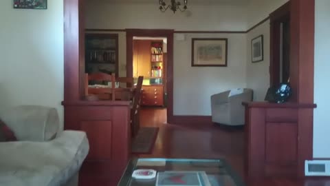 LB Gets a Job at Taco Bell/Gives GL the Wrong Order/Doesn't Listen/Fired/Grounded