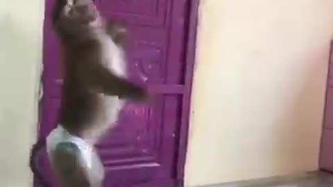 Funny monkey 🙊 #monkey #funny #anime #cutespets