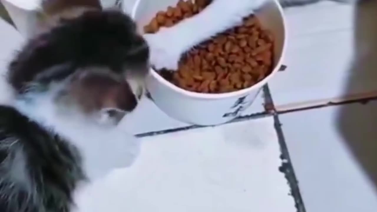 Woe Day 52. I am in the ark. Waiting for GOD to open the Door for a spring/summer Pentecost rapture