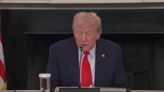 TRUMP: "We have a very serious left-wing terror threat in our country..."