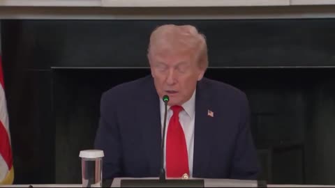 TRUMP: "We have a very serious left-wing terror threat in our country..."