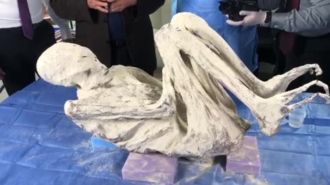 👽🤯 Meet Jois: The 5'11" Tridactyl That Will Shock You! | TheTruthAbove