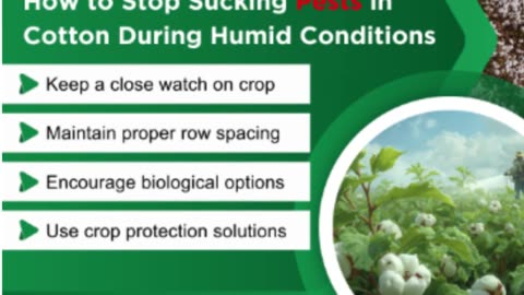 NACL Industries: Leading the Top Agrochemical Companies in India