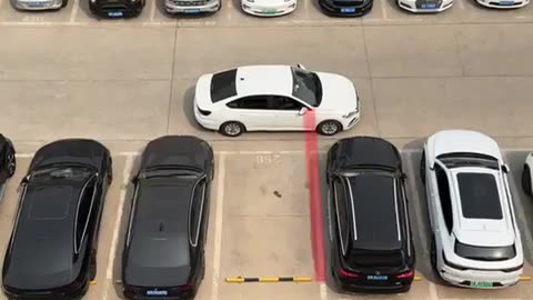 Parking Skills