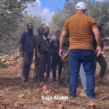 “Israeli settler militias, operating under army cover, harass and intimidate Palestinian farmers”
