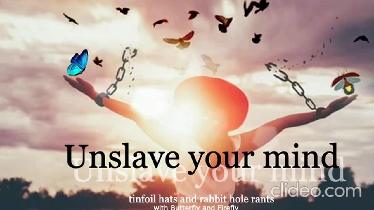 Episode 112 If you're about to lose your edge you get voted off or unalived