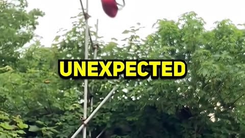 Was It Skill… or Pure Luck?