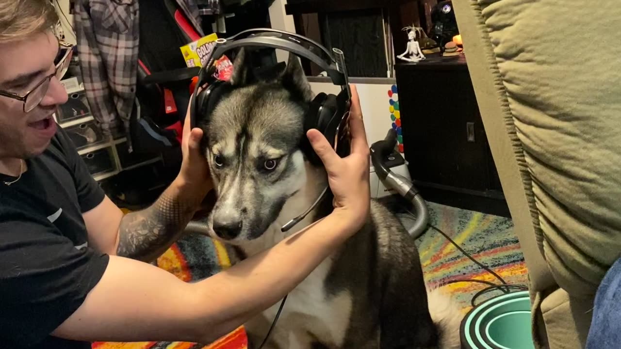 Husky Discovers His Uncle’s Voice Through Headset