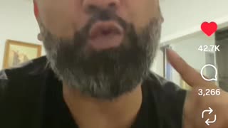 Reptiles Underground Eating Pizza