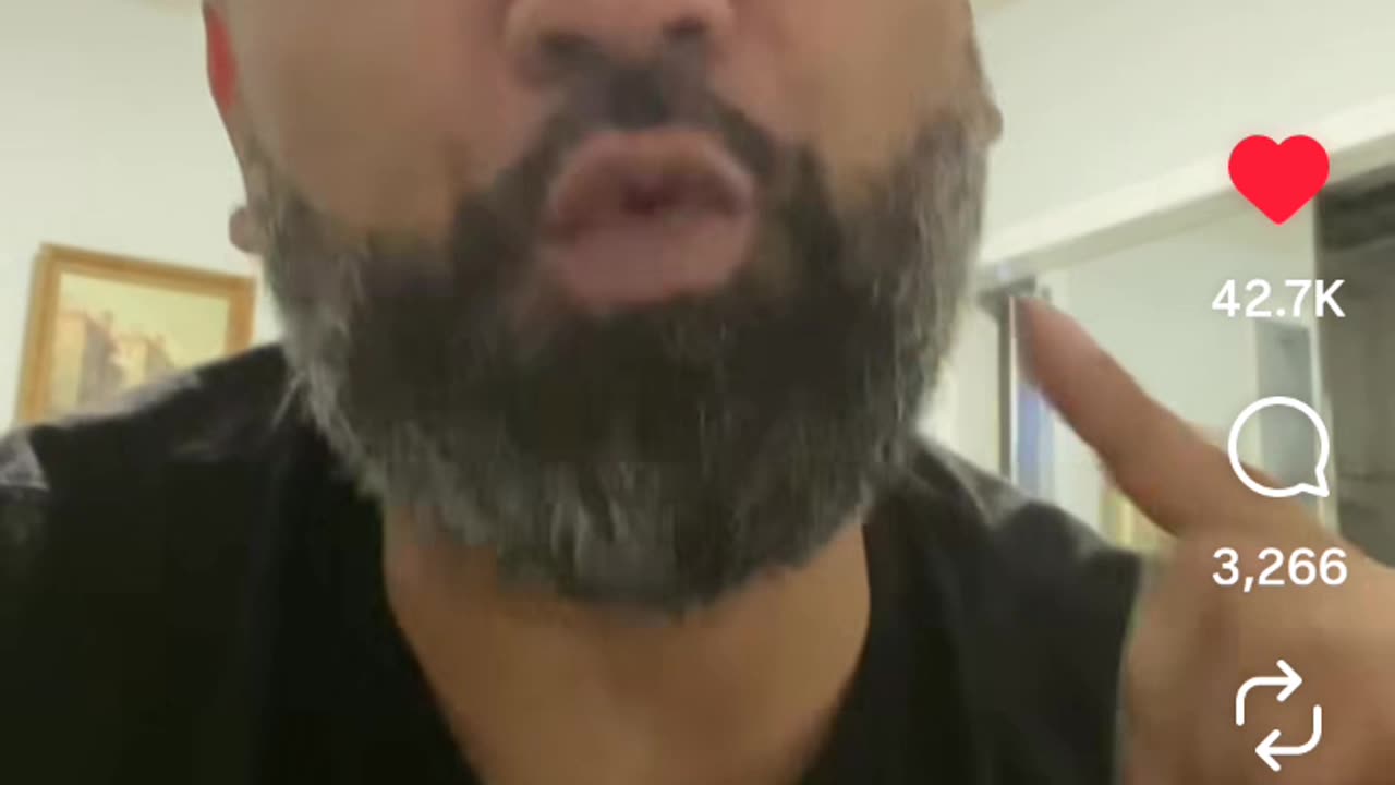 Reptiles Underground Eating Pizza