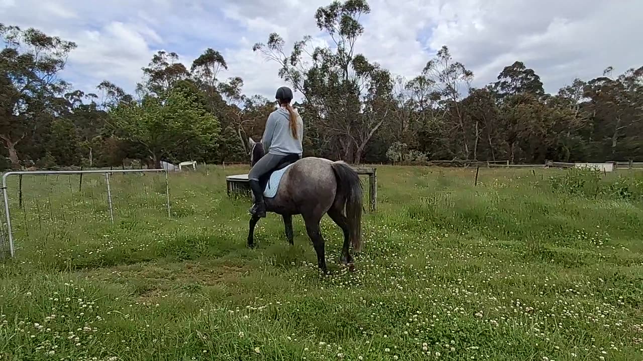 2- Trough gate to paddock.