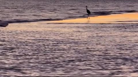 Daily Horoscope | Pisces 🌟