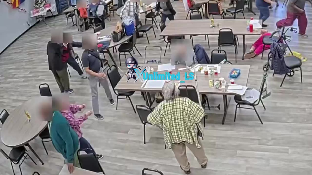 Black attacks random elderly White people