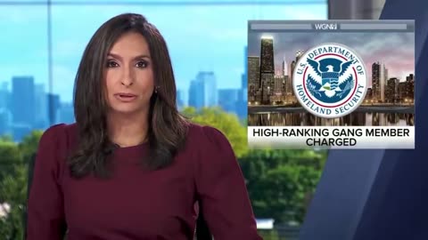 Chicago gang member arrested for putting out a $10,000 murder-for-hire hit on the Chicago