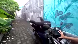 🤯🚴‍♂️ You Won't Believe This Insane Scooter Stunt! | FunFM