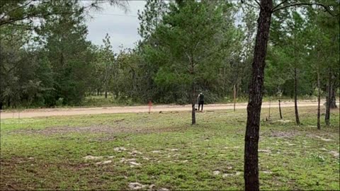 Running on live — till end