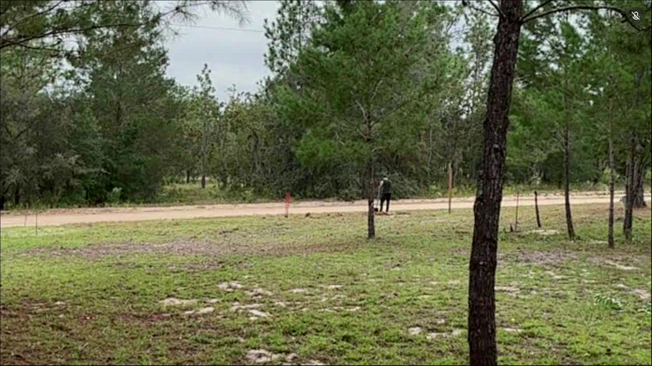 Running on live — till end