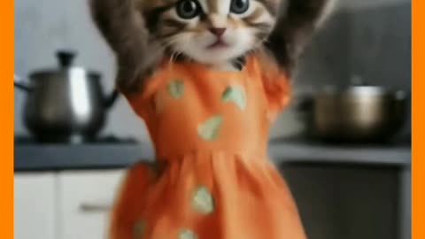 Funnysong