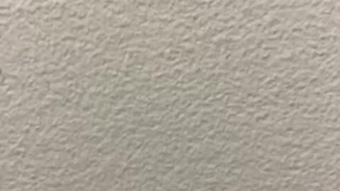 Christians in Nigeria