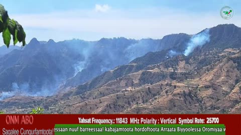 ONM-ABO Amajjii 24-2025 itti dhiyaadhaa!