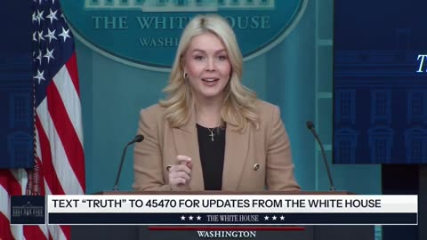 Karoline Leavitt Unleashes On Reporter Who Accuses ICE Agent Of Acting 'Recklessly'