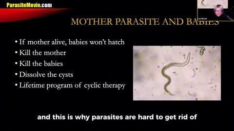 VIDEO EVIDENCE: CANCER is Caused by Micro-Parasites with Dr Lee Merritt