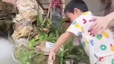 Funny animals and their funny antics