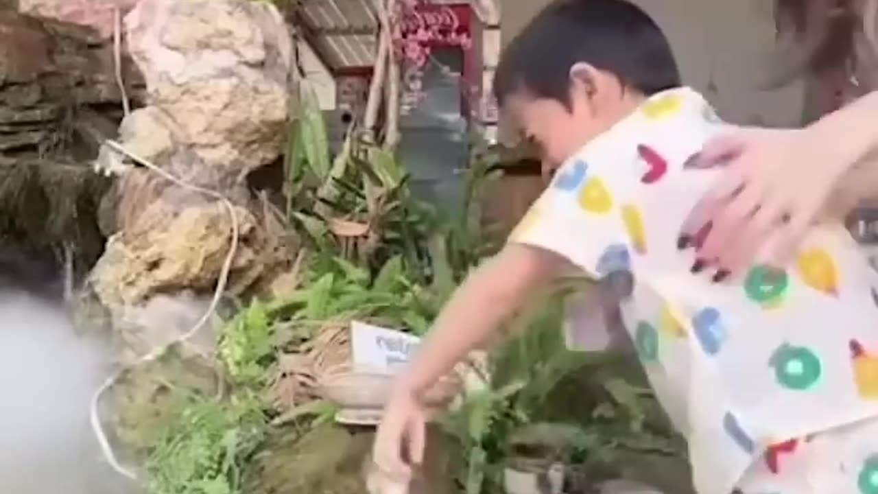 Funny animals and their funny antics