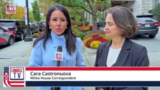 Marly Hornick SUES NY Board of Elections and Letitia James for Election Fraud