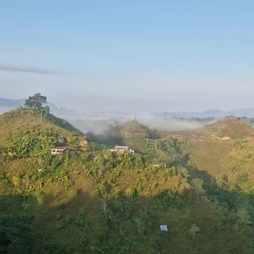 ☁️ Foggy Morning in the Bukid ☁️
