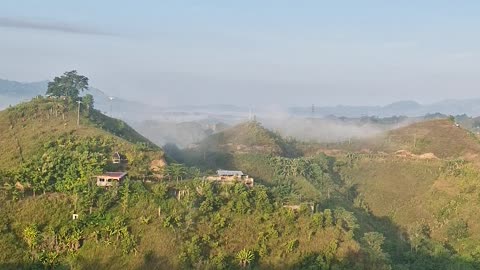 ☁️ Foggy Morning in the Bukid ☁️