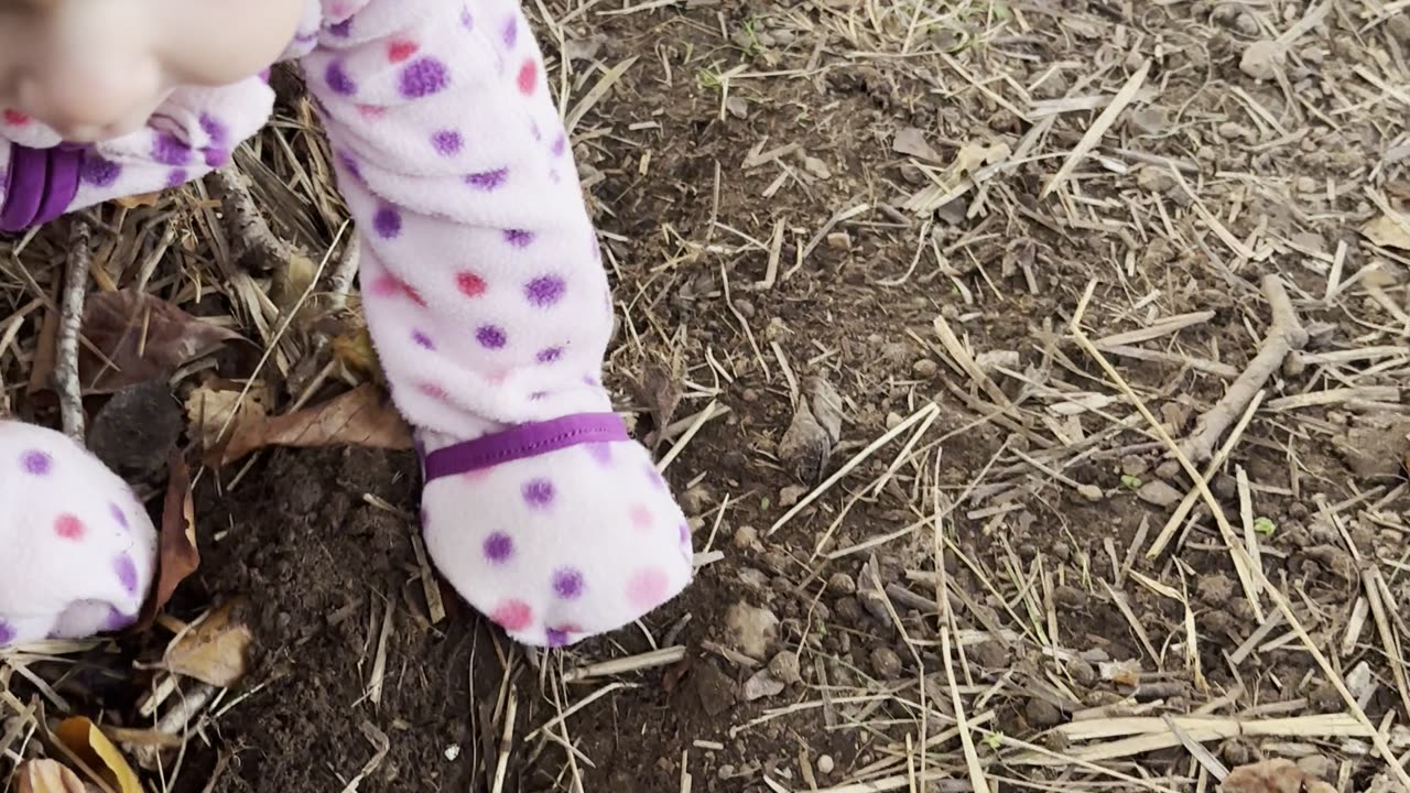 baby kayla trying to catch the bunnies 🐰 she’s so full of joy and energy!