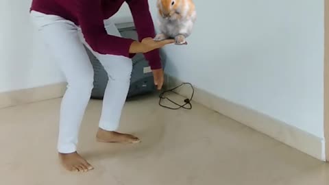 Magic Dekho-47-Bobby Balancing Rabbit-Tiktok